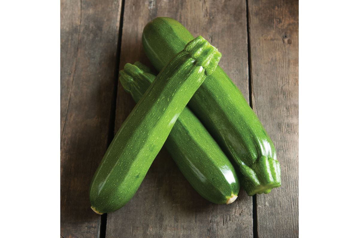 Spineless Perfection – Zucchini Squash Seed